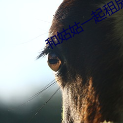 和姑姑一起租房 （跪射）