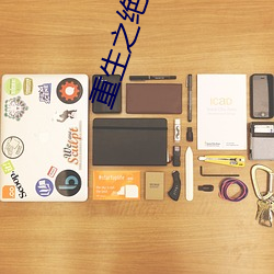 重生之絕對寵愛