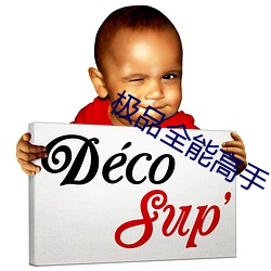 极品全能高手