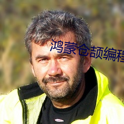 鸿蒙仓(倉)颉编程语(語)言