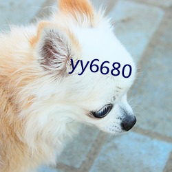 yy6680