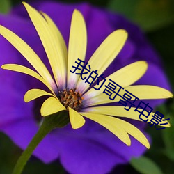 BG大游(中国)唯一官方网站