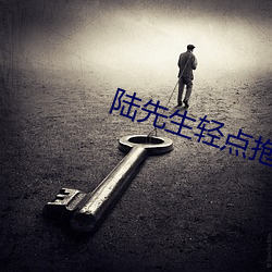 陆先生轻点抱