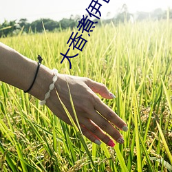 大香煮伊(伊)区一二三四(四)区2021下载