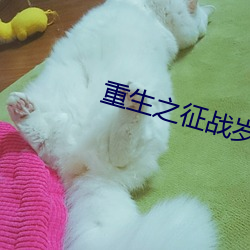 重生之征(zhēng)战(zhàn)岁月