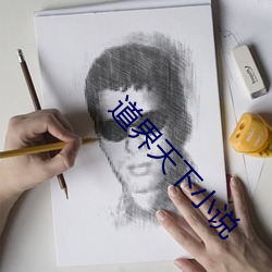 道界天下小说 （公买公卖）