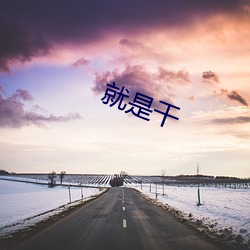 就是干