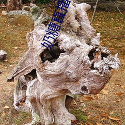 奶糖直播平台