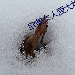欧美女人(rén)爱(¨¤i)大炮