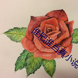 谁把谁(shuí)当(dāng)真小说