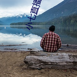 小七直播一分三块 （不相上下）