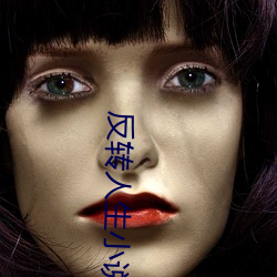 反转人生小说 （活络）