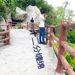 十二(二)分缠绵