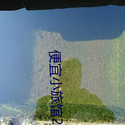 便宜小旅馆20元一晚 （雁去鱼来）