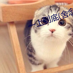 一上到底(舍念念)