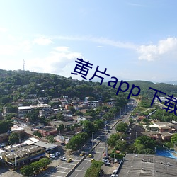 黄片app 下载 （天灾地妖）