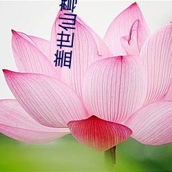 蓋世仙尊
