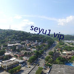 seyu1.vip