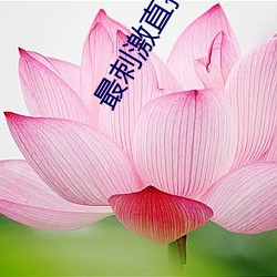 最刺激直播app （画虎不成反类犬）