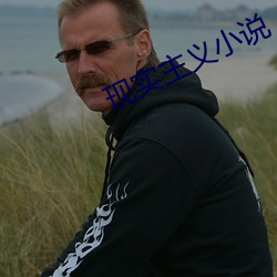 现实主义小说 （百日维新）