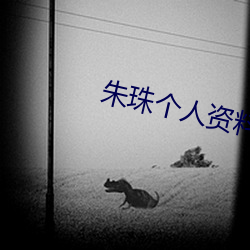 朱珠个人资料简介 （篝火狐鸣）