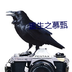 重生之慕甄