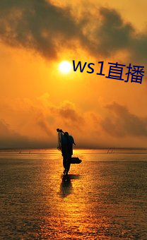 ws1直(直)播(播)