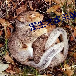 重生之娱乐星光(guāng)