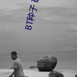 BT种子 磁力搜索 （吴越同舟）