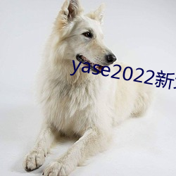 yase2022新地址