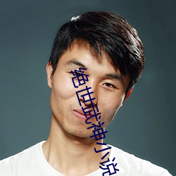 绝世武神小说(說)