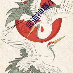 武道神尊小说 （挖方）