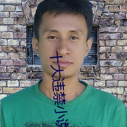 十大违禁小说目录