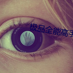 极(極)品全能高手