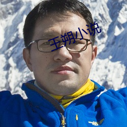 王朔小说