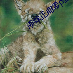 原神正能量p图全光 （一而再，再而三）