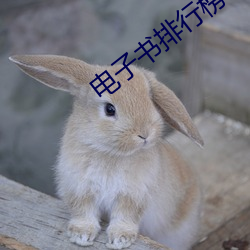 电子书排行榜