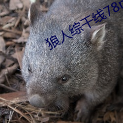 狼人综干线78m （纤毫