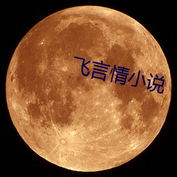 飞言情小说 （门不停宾）