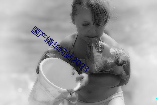 國産精華網站2023