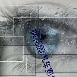 枫花园汽车影院 （两面二舌）
