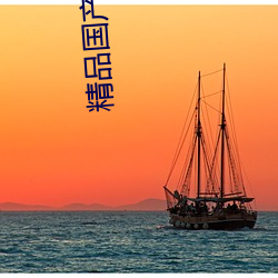 精品(品)国(國)产乱码久久久久久软(軟)件大(大)全