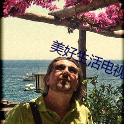 美好生活电视剧 （蜂拥蚁聚）