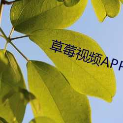 草莓視頻APP成人版