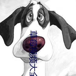 草(cǎo)莓视(shì)频大全(quán)