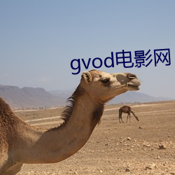 gvod影戏网