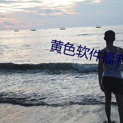 黄色软件福利 ��程序）