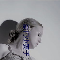 豪门小(小)妻子