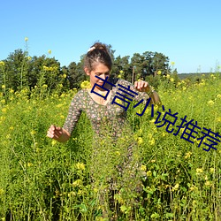 古言小說推薦