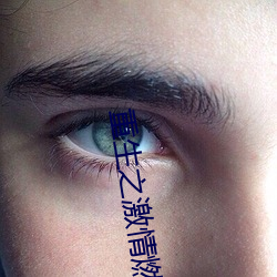 重(重)生之激(激)情(情)燃烧岁月